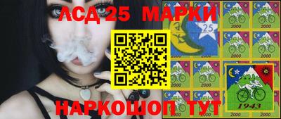 МДПВ Волгодонск