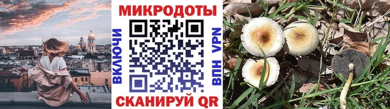 ссылка на мегу вход  Мариинск  Галлюциногенные грибы мицелий 
